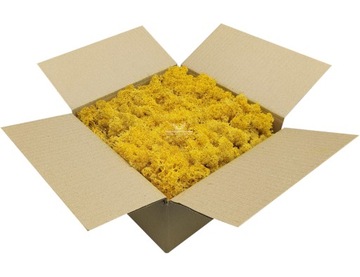 Chrobotek Ciemny Żółty Dark Yellow 250g NETTO