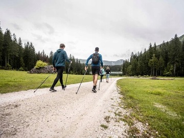 ПАЛКИ ДЛЯ САНДАРИЧЕСКОЙ ХОДЬБЫ