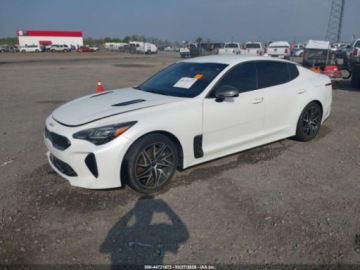 Kia Stinger 2022 Kia Stinger 2022 KIA STINGER GT-LINE 2.5 Benzyna 300KM, zdjęcie 2
