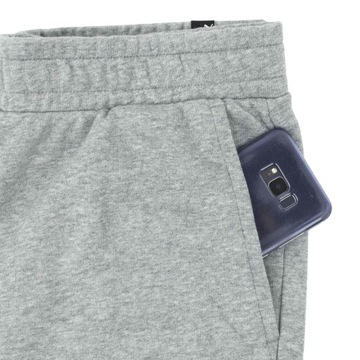 Spodnie Dresowe Dresy PUMA Essentials Logo Pants Szare S