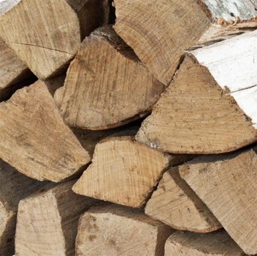 Beech Trunk 50 см x 21см Piemacek Peniek для разбивки деревянных насосов Big
