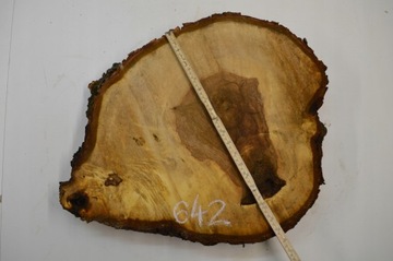 Plaster Drewna Kasztan 62x48 cm Gr. 6 cm