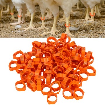 100 шт. Кольцо для ножки курицы и утки.