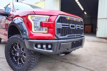 Atrapa / Grill Ford F150 2009-14 - TXMQ 1701-23