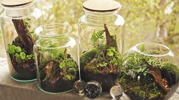 Лес в банке ЗЕМЛЯ С МИКРОКЛИМАТОМ Биогумус 30л