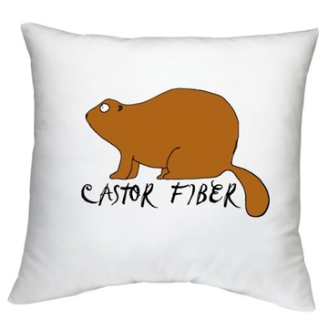 ПОДУШКА КРАСНАЯ БЕЛКА, УЗОРЫ БОБРА БЕЛКИ