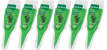 BIOPON ELIKSIR NA PIĘKNE ZIELONE LIŚCIE 6x40ml 6M