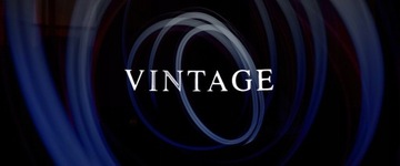 Мужская парфюмированная вода VINTAGE 100 мл - JFenzi