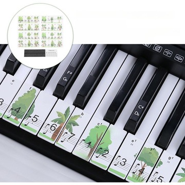 СЪЕМНЫЕ ЭТИКЕТКИ НАКЛЕЙКИ НА ПИАНИНО ДЛЯ НАЧИНАЮЩИХ НАКЛЕЙКИ НА КЛАВИАТУРУ ДЛЯ ДЕТЕЙ