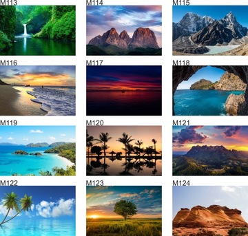 Уникальная копилка XL за 5 злотых, Различные Пейзажи, Виды, с автоматическим выводом средств.