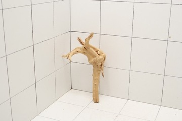 Аквариум-террариум Red Moor Root 21x12x7 см N228