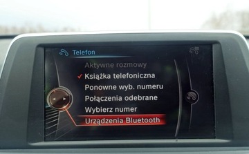 BMW X1 F48 Crossover xDrive18d 150KM 2015 BMW X1 18d 150KM xDrive 4x4 Zero korozji Bezwypadkowy Stan BDB 2.0 Diesel, zdjęcie 18