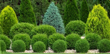 УДОБРЕНИЕ ДЛЯ ТИСОВЫХ ХВОЙНЫХ ПИХТЫ С МИКРОЭЛЕМЕНТАМИ 4 КГ ЦЕЛЬ