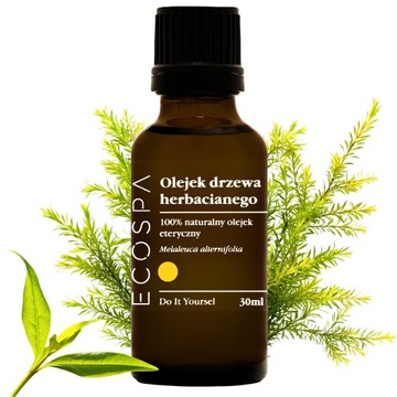 NATURALNY OLEJEK ETERYCZNY DRZEWA HERBACIANEGO 30 ML AROMATERAPIA ECOSPA