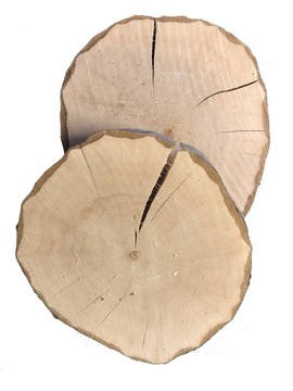 NATURALNE Plastry drewna GRAB krążki 10-15cm