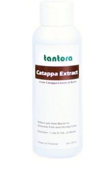 Tantora Cattapa Extract 100ml wyciąg z ketapangu