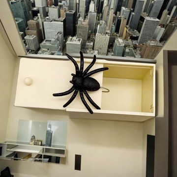 Przestraszone drewniane pudełko Podstępne etui Ręcznie wykonane zabawne przestraszone gagi Prezenty Pająk