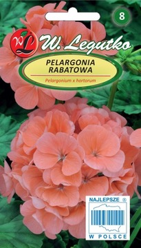 Pelargonia rabatowa ŁOSOSIOWA 0,5g NASIONA RABATA