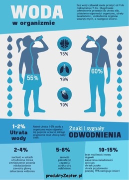 Filtr do wody Edel Wasser Zepter + montaż gratis