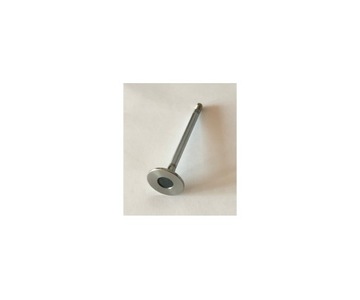 Zawór ssący Citroen Fiat Peugeot 2,0 2,2 HDI DW10 DW12