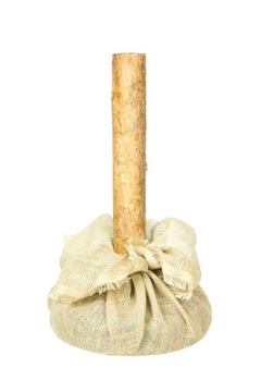 STOJAK DO CHOINKI NA PNIU CAŁY KOMPLET 65 CM PIEŃ