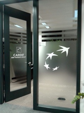 МАТОВАЯ МОЛОЧНАЯ ЗАЩИТНАЯ ФОЛЬГА 105X50СМ