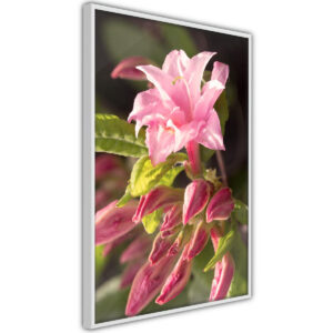 Obrazy w ramie Botaniczne Ogród 40x60 Rama biała