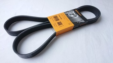 PASEK W/KLINOWY Continental 7PK1675 Pasek klinowy wielorowkowy