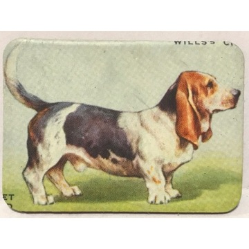 magnes Pies piesek Dog ok6x4,2cm