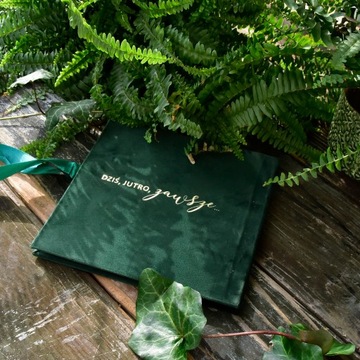 Гостевая книга СВАДЬБА бутылочная зеленая свадебная бархатная