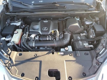 Lexus NX II 2021 Lexus NX 300 Base 2021 2.0L 2.0 Benzyna 235KM, zdjęcie 6