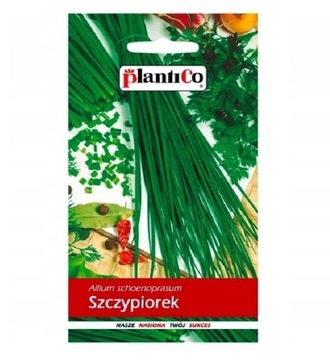 Szczypiorek Ogrodowy Wulkan 1g PlantiCo