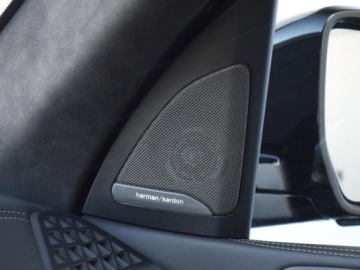 BMW X7 SUV Facelifting 3.0 40d 352KM 2026 BMW X7 xDrive40d Sport Suv 3.0 (352KM) 2026, zdjęcie 10