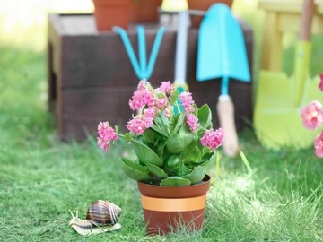 МЕДНАЯ ЛЕНТА УЛИТКА ПОВТОРЯЮЩАЯСЯ САМОКЛЕЙКАЯ 20М