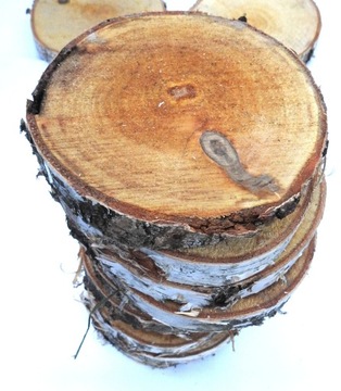 СРЕЗ ДЕРЕВА, КРУГ БЕРЕЗОВОЙ ШТАМПЫ 9-14СМ, 1 ШТ.