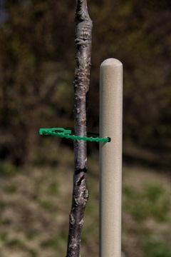 Podpórka do warzyw owoców drzewek opaski 100 cm 28