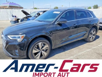 Audi Q8 2021 Audi Q8 2024 AUDI Q8 E-TRON PREMIUM PLUS Elektryczny 335KM
