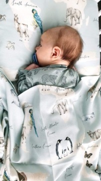 Бамбуковый подгузник Карта мира