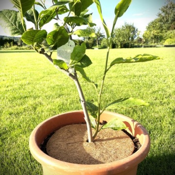 КОКОСОВЫЙ МАТЕРИАЛ ПРОТИВ СОРНЯКОВ, ОБОКРУЖЕНИЕ МОЛСТЫХ РАСТЕНИЙ. 5ММ, ДИАМ. 60 СМ