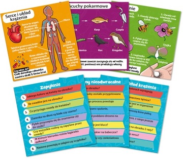 Мозговой ящик Наука