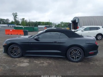 Ford Mustang VI 2018 Ford Mustang Ecoboost Premium 2018 2.3l 2.3 Benzyna 310KM, zdjęcie 2
