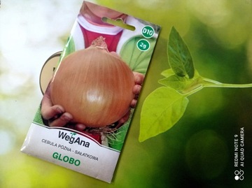 Cebula Globo 2 g- WegAna