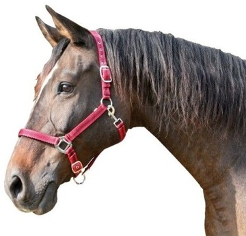 KANTAR DLA KONIA MUSTANG CZERWONY FULL COVALLIERO