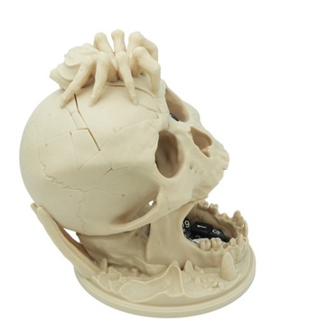 Череп «Поцелуй пустыни» с пауком - башня с кубиками - Череп «Поцелуй пустыни»