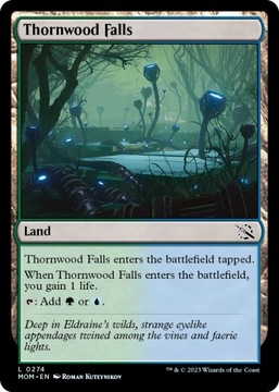 MTG 2x Thornwood Falls FOIL