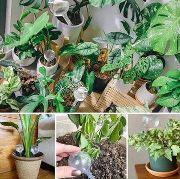 10x KULE NAWADNIAJĄCE DO KWIATÓW ROŚLIN DOZOWNIK WODY DO PODLEWANIA DOMOWY