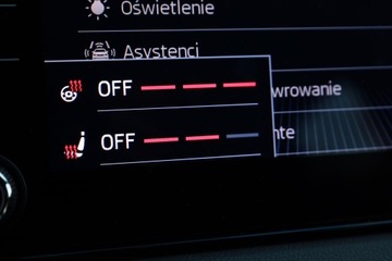 Skoda Karoq Crossover 1.5 TSI ACT 150KM 2019 Skoda Karoq 1.5 TSI ACT DSG Soleil LED Ambiente Hak, zdjęcie 10