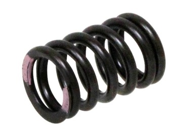 SPRĘŻYNA ZAWORU SSĄCEGO KAWASAKI KXF 250 '11-'16 (MX-09539IS)