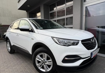 Opel 2021 Opel Grandland X salon Polska, FV-VAT23 1.5 Diesel 130KM, zdjęcie 13