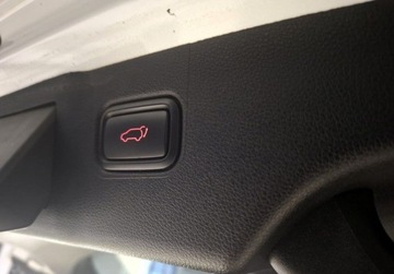 Kia Sorento III SUV Facelifting 2.0 CRDi 185KM 2019 Kia Sorento 4x4 7os. LED Panorama Navi Alu 19 Nagl. Harman Kardon Salon PL, zdjęcie 19